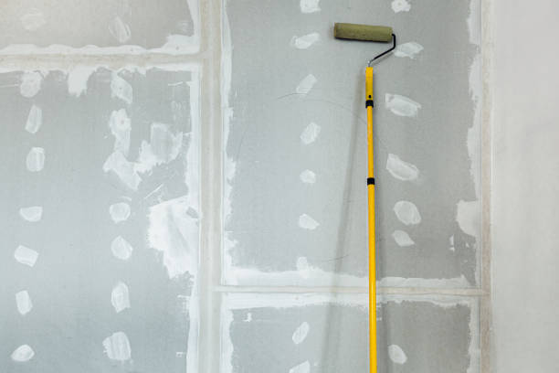 Professional Mold Removal in Meggett, SC