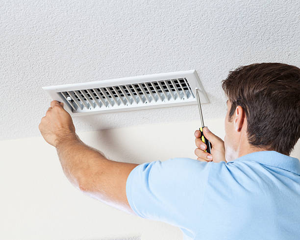 Best Attic Mold Removal  in Meggett, SC