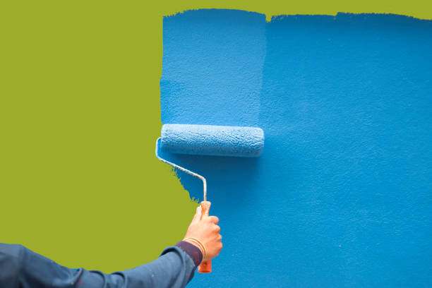 Best Mold Documentation for Insurance Claims  in Meggett, SC
