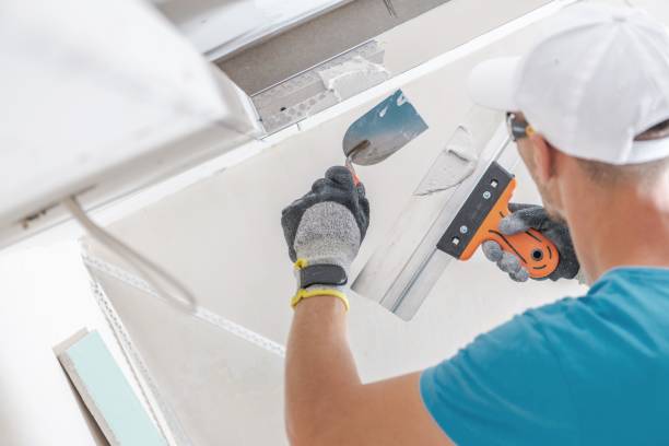 Best Airborne Mold Testing  in Meggett, SC